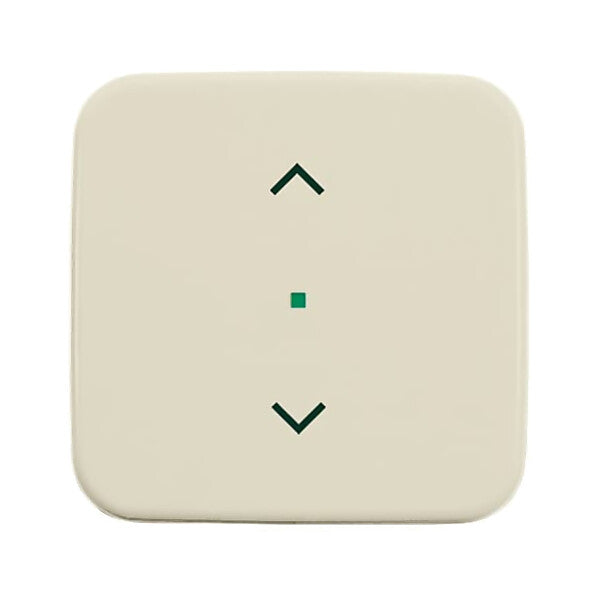 Busch-Jaeger Wippe 1-fach, Symbol Licht weiß 6232-10-212